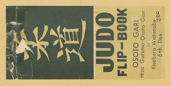 Judo flip book