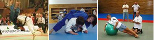 judo research