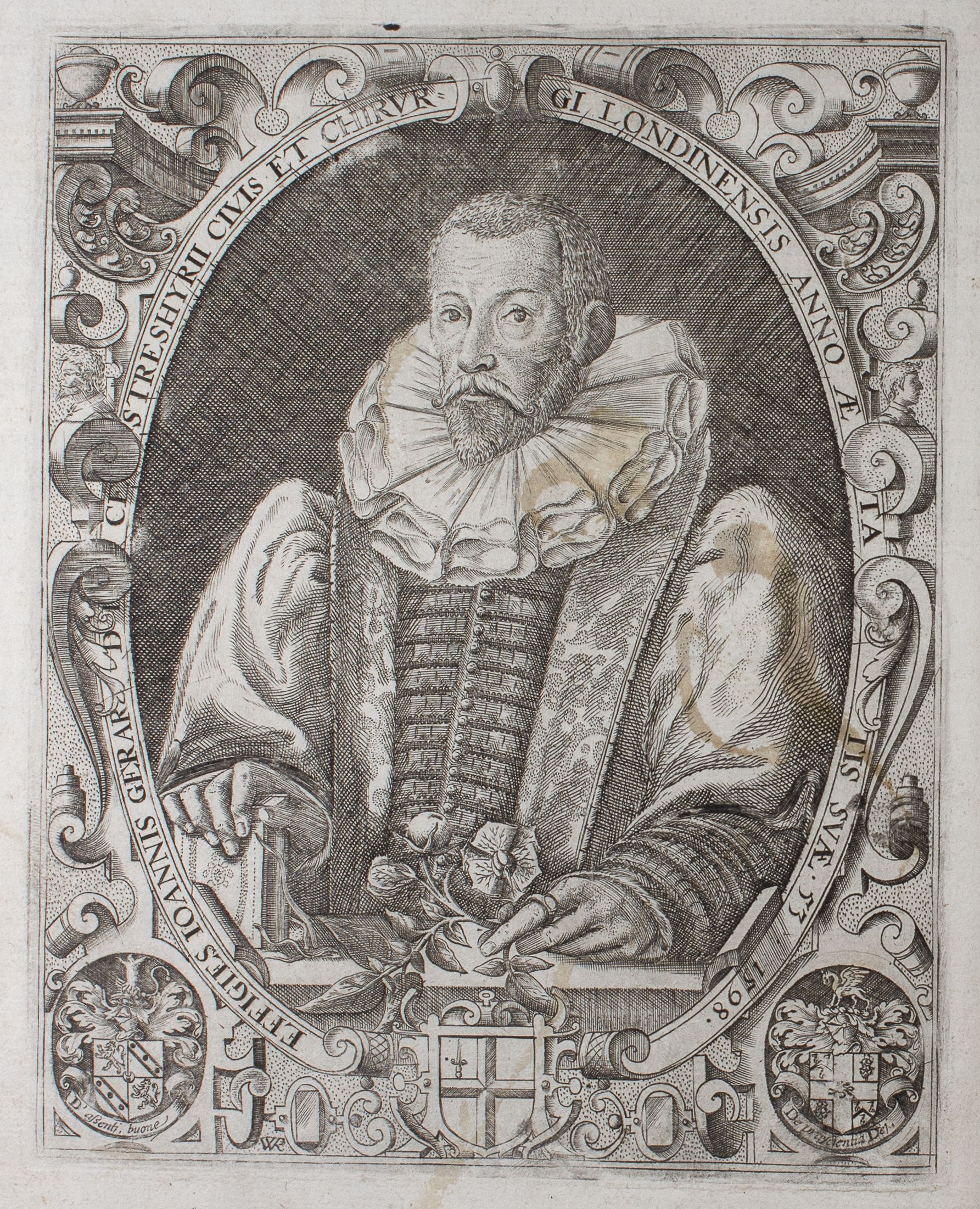 Gerard’s Herbal or Generall Historie of Plants by John Gerard, c 1597.